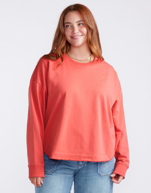 plus-model